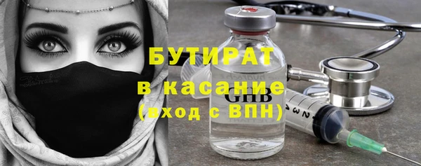 сатива Новокубанск