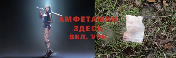 сатива Новокубанск