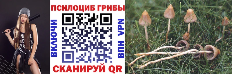 Псилоцибиновые грибы мицелий  Купить  Межгорье 